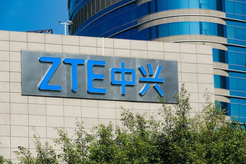 會員動態 會員服務 中國電子商會